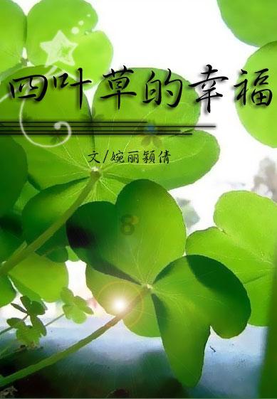 我是新手，陈皮茶应该怎么泡?